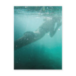 Woman Snorkeling Postcard