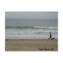Woman Walking Dog Along Pismo Beach, CA Post Card
