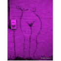 Woman Wall photo sculptures