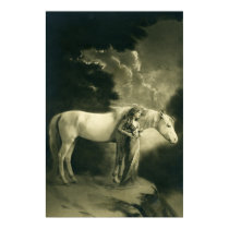 Woman with white horse. posters