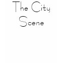 Womans Argyle "The City Scene" V-Neck T-Shirt (M)