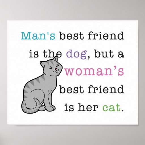 Womans Best Friend Her Cat Poster Zazzle