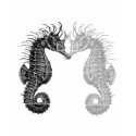 woman's seahorse t t-shirts by christaylorrocks woman's seahorse t t-shirts
