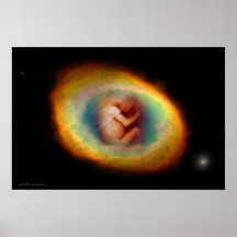 Womb by Gregory Gallo Posters