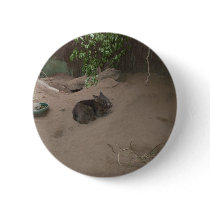 Wombat buttons