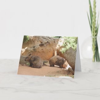 Wombat Heaven Greeting Card