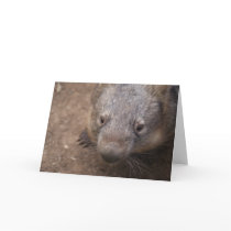 Wombat Kiss Greeting Card