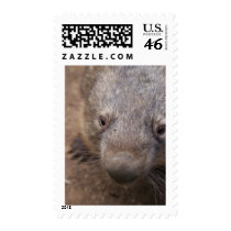 Wombat Kiss postage
