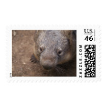 Wombat Kiss postage