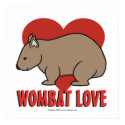 Wombat Love posters by Wombania Wombat Love posters