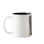 Wombat Coffee Mug