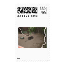 Wombat postage