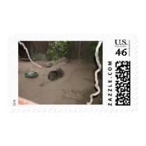 Wombat postage