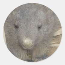 Wombat Round Sticker