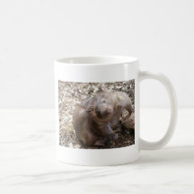 Wombat Scratch Coffee Mugs
