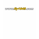 Women Basic T-Shirt