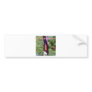 WOMEN CAN'T FLY HELICOPTERS BUMPER STICKER