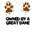 Women Owned by a Great Dane T Shirts