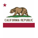 Women T Shirt with Flag of California State
