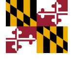 women t shirt, flag, usa, maryland state flag,