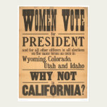 Women Vote Broadside (1873A) posters