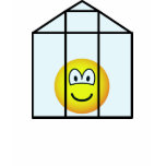 Greenhouse emoticon   womens_apparel_tshirt