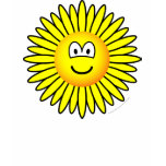 Sunflower emoticon   womens_apparel_tshirt