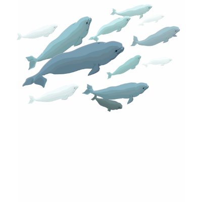 beluga whale. Womenamp;#39;s Beluga Whale Tank