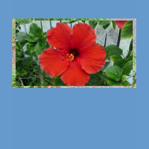 Women's Bright Red flowered shirt