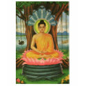 Women's Buddha T-Shirt