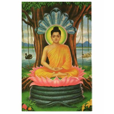 Women's Buddha T-Shirt by Keldug