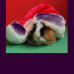 Womens Cool Christmas Guinea Pig