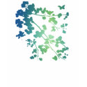 Womens Floral On Dark T-Shirt