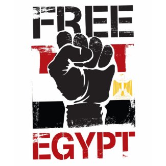 WOMEN'S FREE EGYPT T-SHIRT shirt