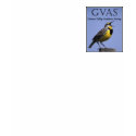 Womens GVAS Logo Shirt