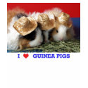 Womens I Love Guinea Pigs T Shirt