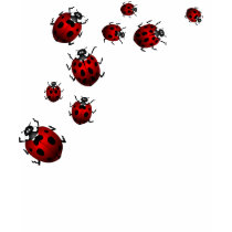 Women's Ladybug Shirt Red Ladybug Shirt Tee