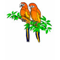 Womens Parrot T-Shirt