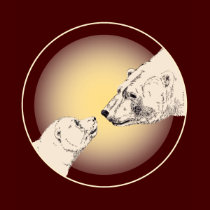 Women's Polar Bear T-Shirt Wildlife Ladies Shirts