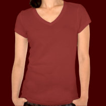 Women's Raven Shirt Native Raven Art Ladies Shirt t-shirts