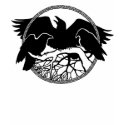 Womens Raven Shirt Raven Crow Art Ladies Shirt by artist_kim_hunter Womens Raven Shirt Raven Crow Art Ladies Shirt