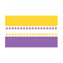 Women's Rights Flag T-Shirts by FlagTshirts Women's Rights Flag T-Shirts