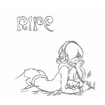 Women's Ripe Ringer Tee t-shirts