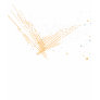Women's Scatter T