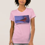 Women's Shirt: Cardinal Landing