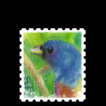 Women's Spring Bird stamp t-shirts