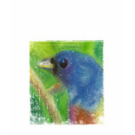 Women's Spring Bird stamp Tee Shirts