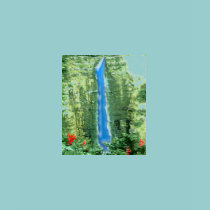 WOMEN'S T-SHIRT - TROPICAL WATERFALL by Karedesign4 WOMEN'S T-SHIRT - TROPICAL WATERFALL