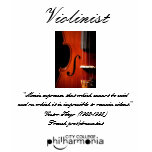 violin, violinist, classical, music, orchestra,