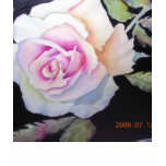 Women's watercolor rose cami t-shirts